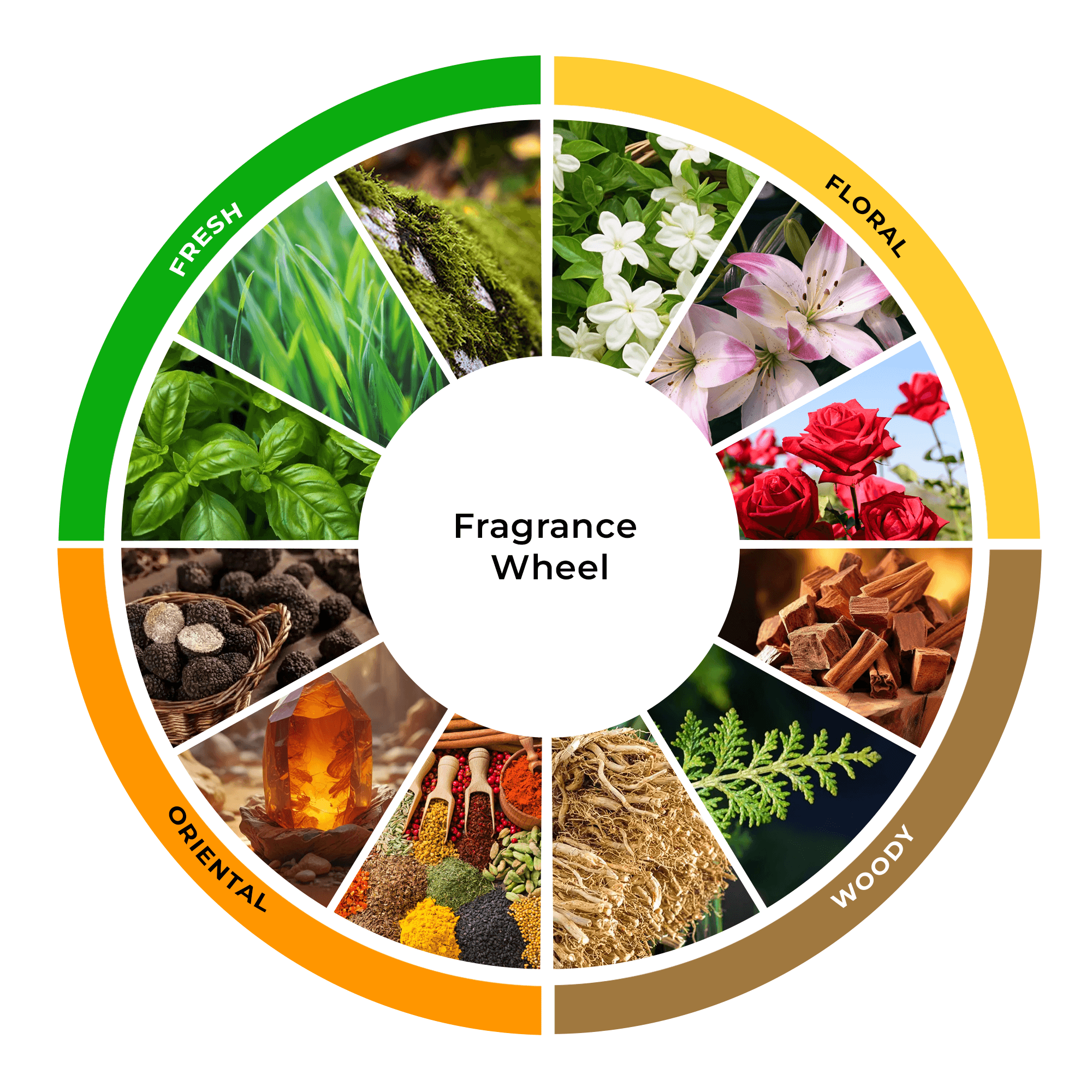 The Fragrance Wheel