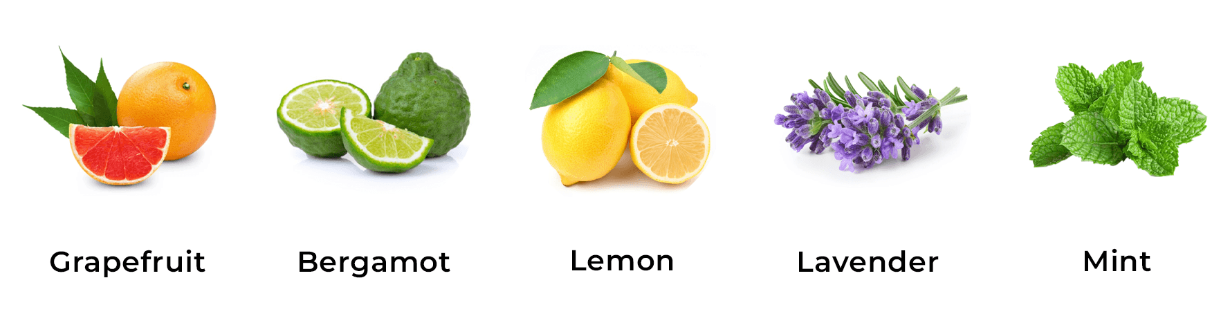 Top-Notes-image